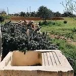 Trullo Contrada Stracca * Alliste