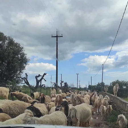 Lantställe Trullo Contrada Stracca *