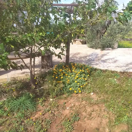 Trullo Contrada Stracca Lantställe *